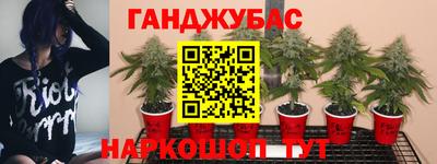 прущие крисы Коммунар