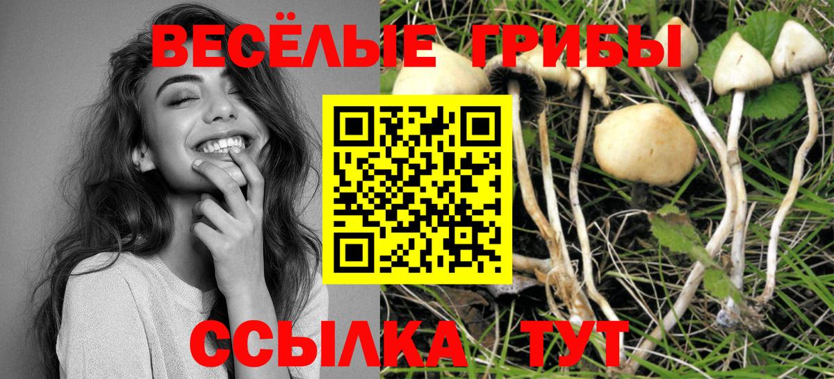 Галлюциногенные грибы Psilocybine cubensis  Псилоцибиновые грибы GOLDEN TEACHER  Ленинск-Кузнецкий  Вход с VPN 